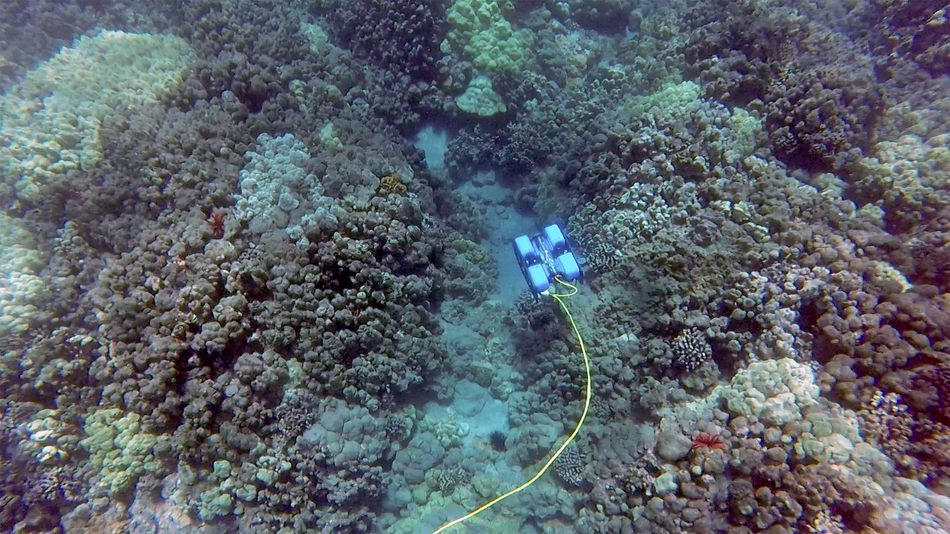 Дистанционно управляемый подводный аппарат BlueROV2 Марко Лтд фото  - 3